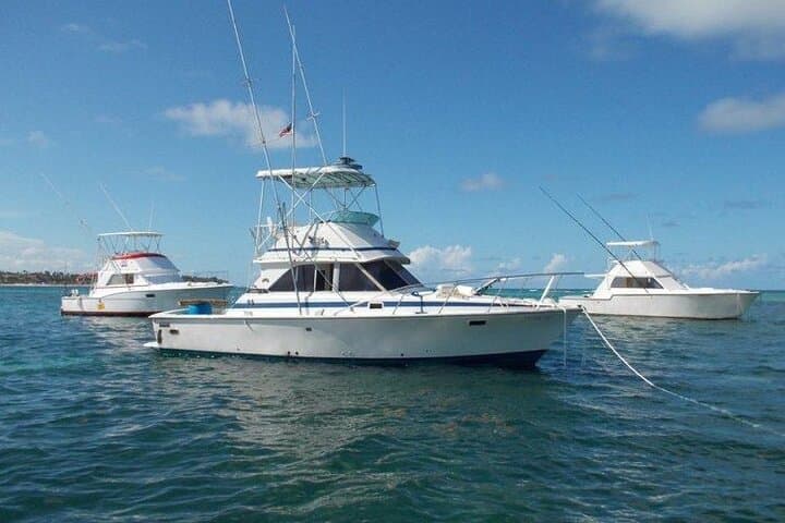 Half-Day Offshore Trolling in Punta Cana: Reel in Sailfish, Mahi Mahi, and Bluewater Excitement photo 2