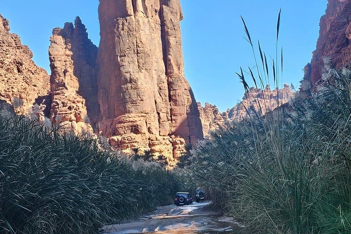 Explore Wadi Al Disah: Day Adventure from Tabuk with Lunch photo 2