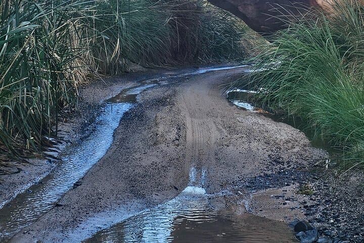 Explore Wadi Al Disah: Day Adventure from Tabuk with Lunch photo 3