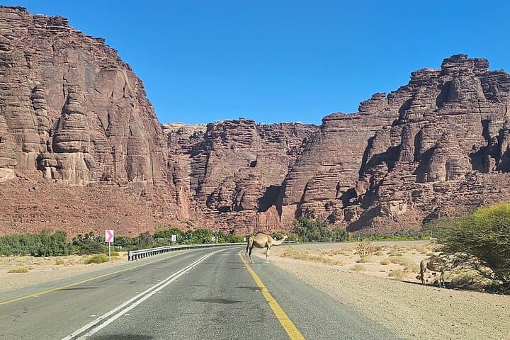 Explore Wadi Al Disah: Day Adventure from Tabuk with Lunch photo 4