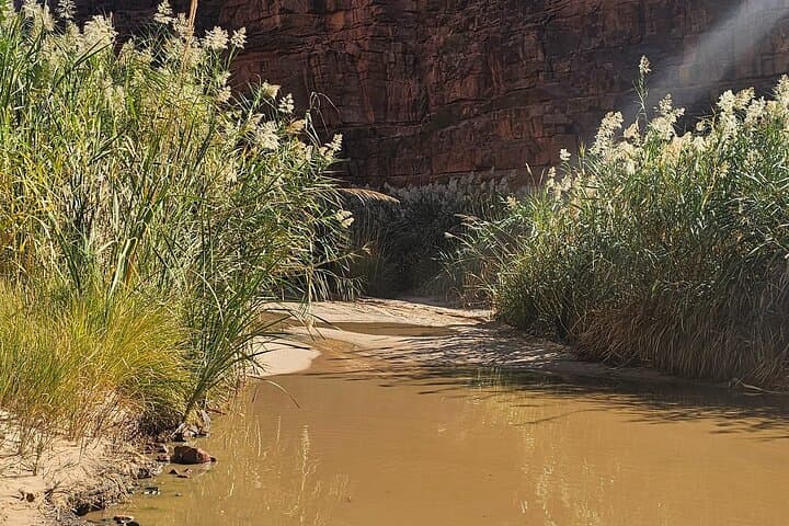 Explore Wadi Al Disah: Day Adventure from Tabuk with Lunch photo 5