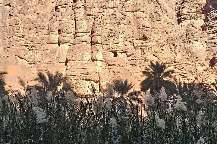 Explore Wadi Al Disah: Day Adventure from Tabuk with Lunch photo 6