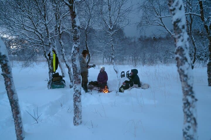 Aurora Snowshoe Hike and Bonfire at Kvitnes Gård