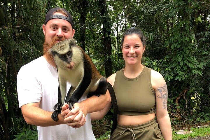 Grand Etang Lake & Annandale Falls Rainforest Tour — Grenada Day Trip