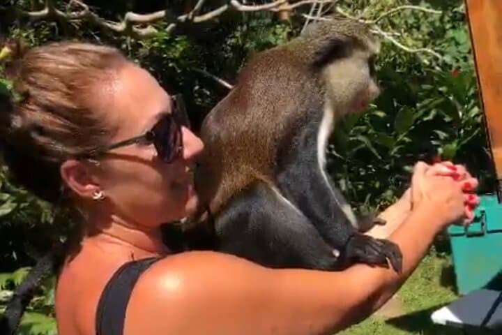 Grand Etang Lake & Annandale Falls Rainforest Tour — Grenada Day Trip photo 2