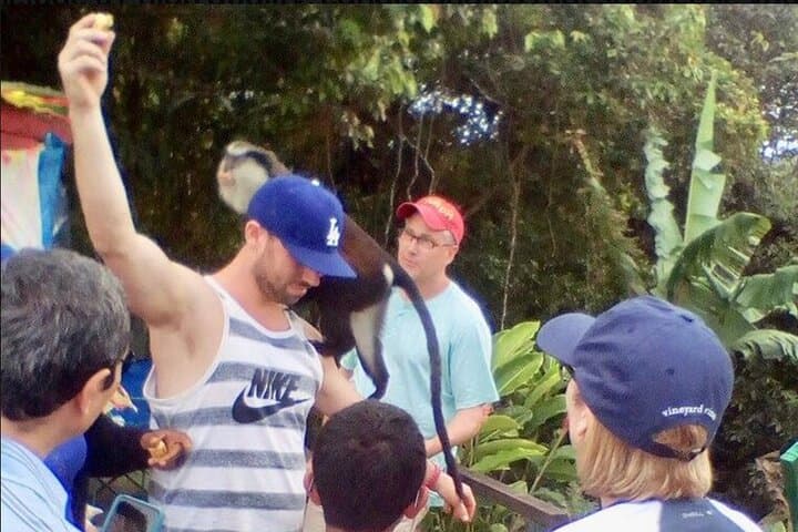 Grand Etang Lake & Annandale Falls Rainforest Tour — Grenada Day Trip photo 6