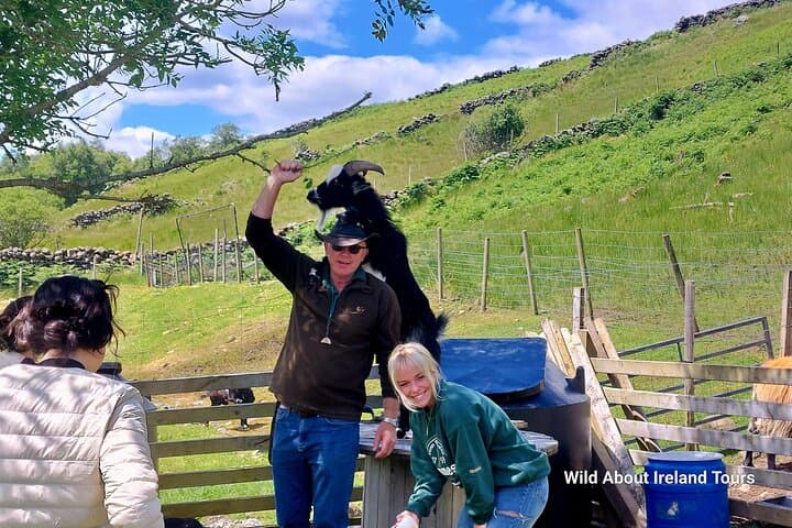 Private Connemara Day Tour: Kylemore Abbey, Twelve Bens & Working Sheep Farm photo 3