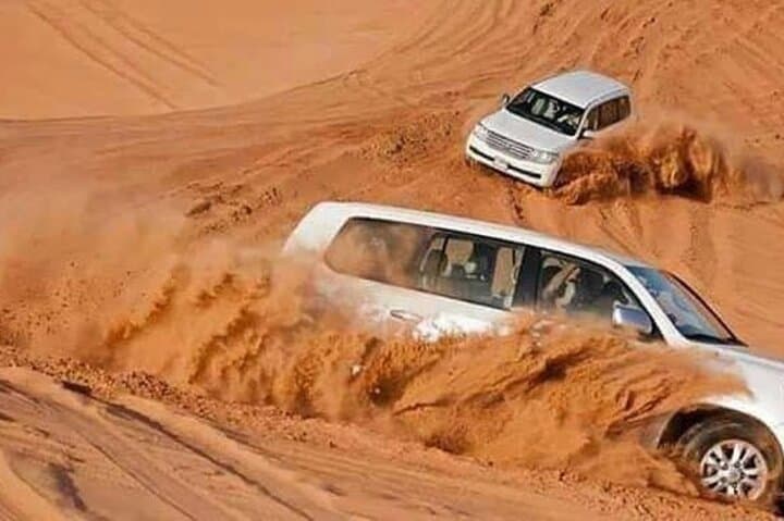 Half-Day Doha Desert Safari: Camel Rides, Dune Bashing & Sandboarding