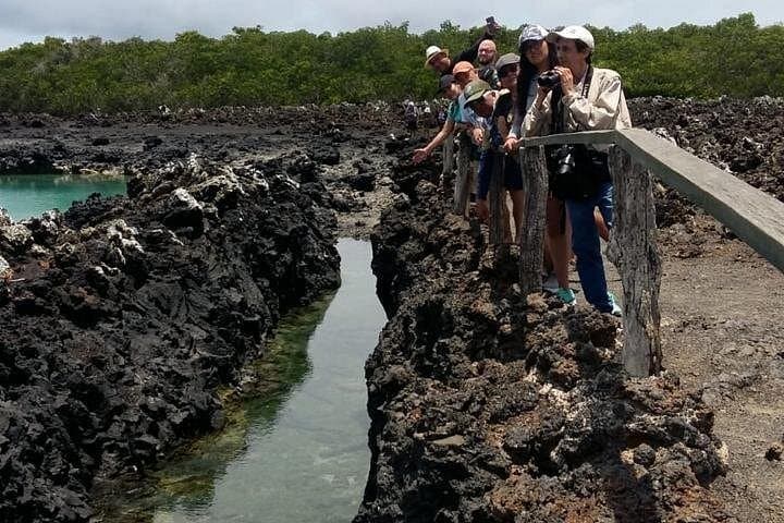 Tintoreras Islet Tour — Snorkel and Hike from Puerto Villamil, Isabela photo 1