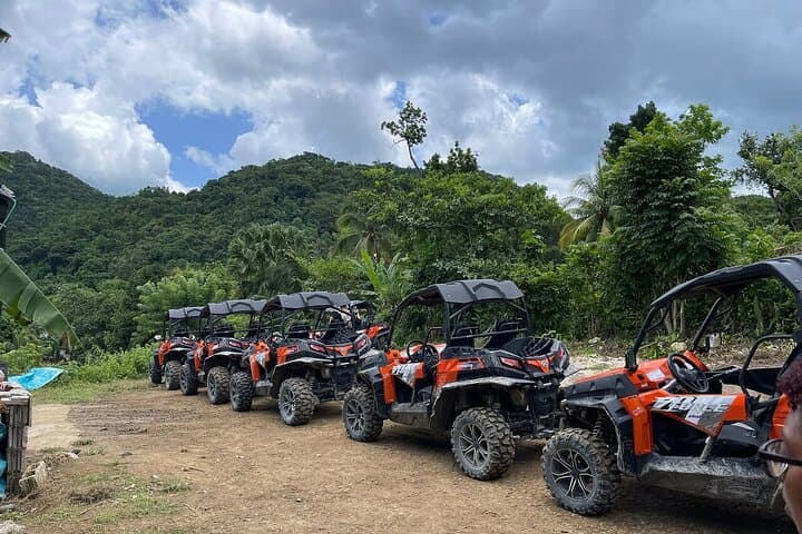 Rasta Safari UTV Village Experience — Roaring River Cultural Tour (Montego Bay) photo 3