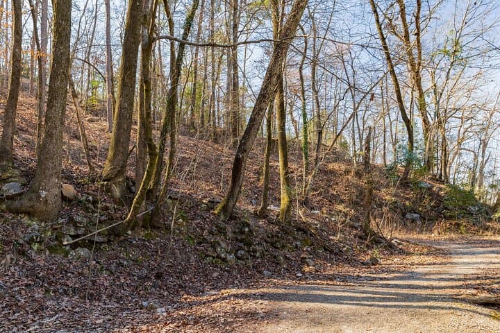 Hot Springs National Park Self-Guided Audio Tour: Explore Bathhouse Row & Mountain Trails photo 6