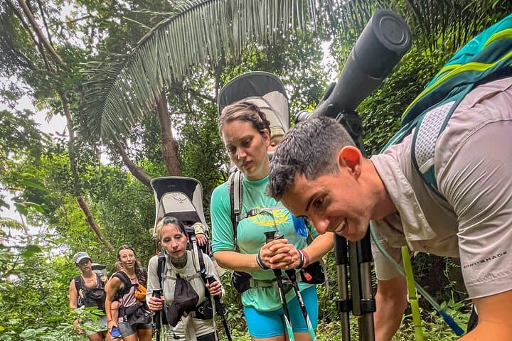 EcoHike to Sayulita’s Hidden Beach: Jungle Trek, Wildlife & Coastal Views photo 1