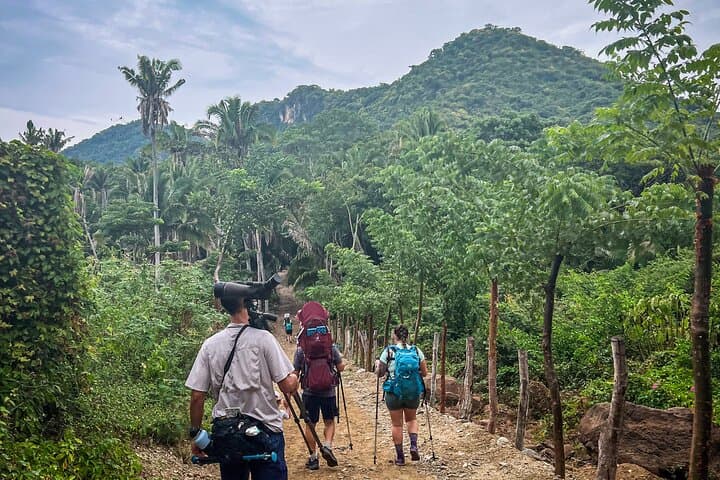 EcoHike to Sayulita’s Hidden Beach: Jungle Trek, Wildlife & Coastal Views photo 4