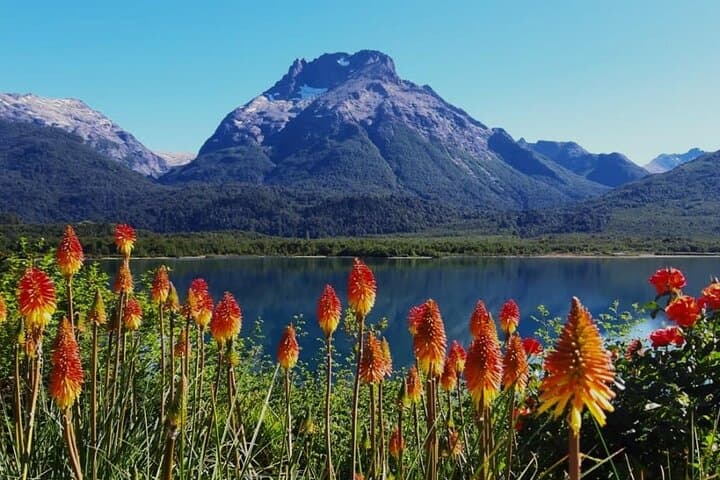 Bariloche 4-Day Mountains and Lakes: Circuito Chico, Arrayanes & Cerro Tronador photo 2