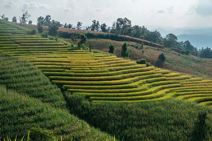 Doi Inthanon Day Trip — Summit, Waterfalls & Highland Gardens photo 3