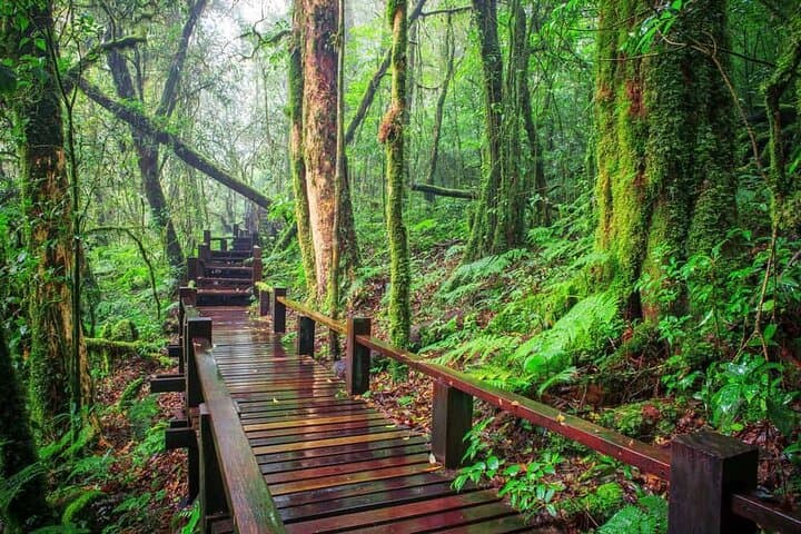 Doi Inthanon Day Trip — Summit, Waterfalls & Highland Gardens photo 6
