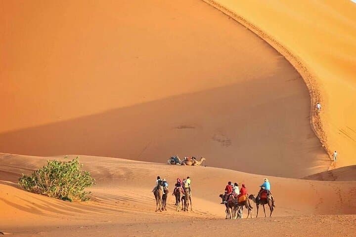 3-Day Marrakech to Fes Sahara Tour via Merzouga: Camel Treks, Dunes & Todra Gorge