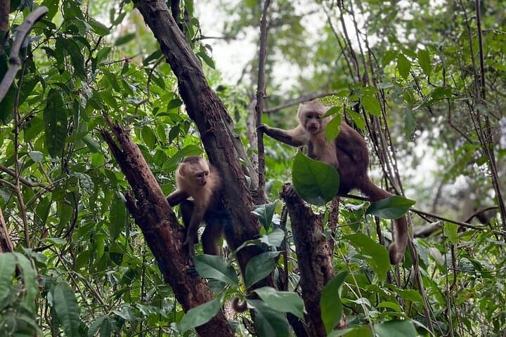 Tayrona National Park Hike and Cabo San Juan Beach Day with Private Guide photo 4