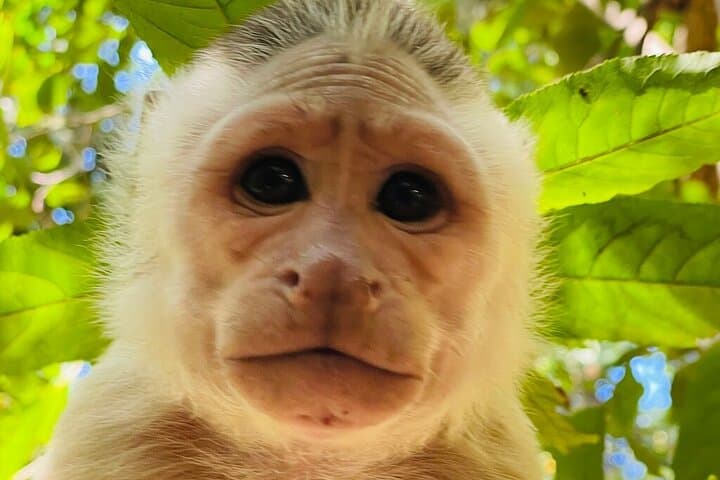 Tayrona National Park Hike and Cabo San Juan Beach Day with Private Guide