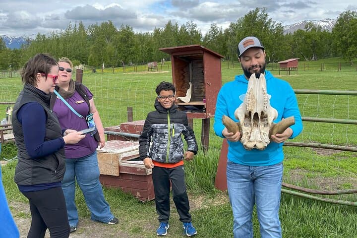 Musk Ox Farm Scenic Drive from Anchorage: Guided Tour & Qiviut Experience photo 4