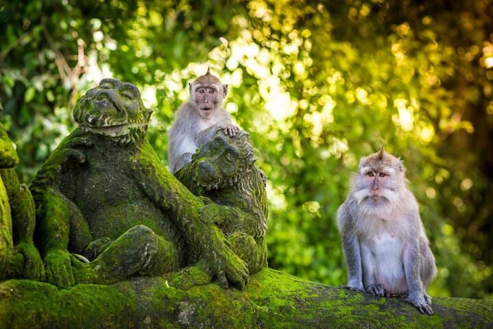 Private Ubud Art Village Tour: Batuan, Monkey Forest & Sumampan Waterfall Day Trip photo 2