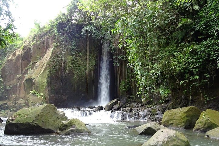 Private Ubud Art Village Tour: Batuan, Monkey Forest & Sumampan Waterfall Day Trip photo 6