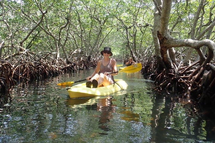 Roatán Mangrove Lagoon Kayak & Snorkel Adventure