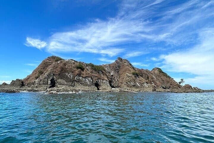 Mid-Day Whale Watching & Snorkel — Marino Ballena National Park from Uvita photo 4
