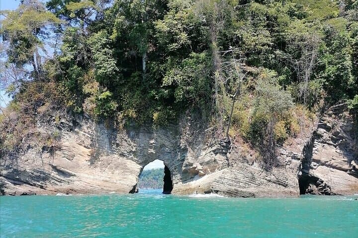 Mid-Day Whale Watching & Snorkel — Marino Ballena National Park from Uvita photo 5