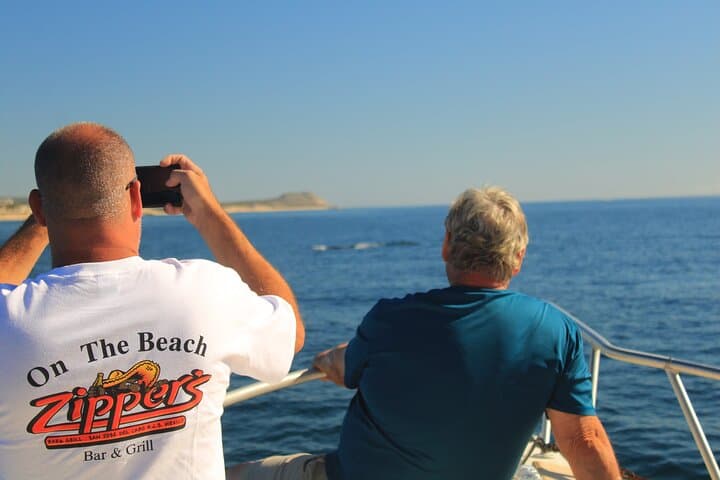San José del Cabo Whale Watching: Guaranteed Sightings, Snacks & Expert Guides photo 5