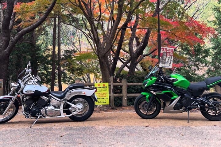 Ride Hidden Gems in Osaka: Motorcycle Tours to Castles, Shrines & Coastlines photo 5