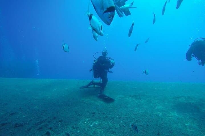 Private Zenobia Wreck Beginner Dive from Larnaca photo 6