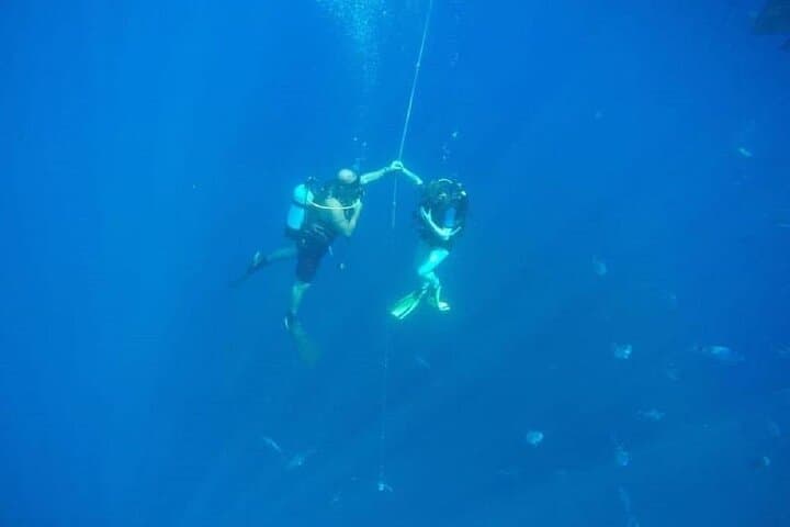 Private Zenobia Wreck Beginner Dive from Larnaca photo 4