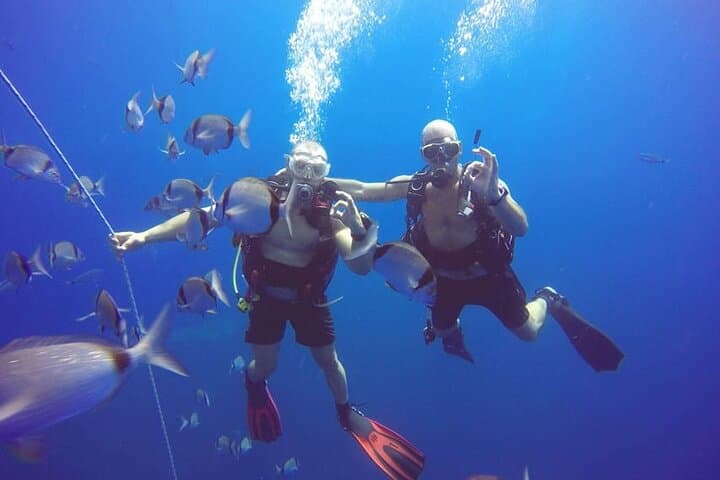 Private Zenobia Wreck Beginner Dive from Larnaca