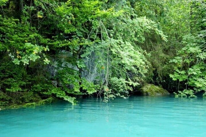 Lake Thun Kayak Rental: 3-Hour Private Kayaking from Interlaken & Spiez photo 4