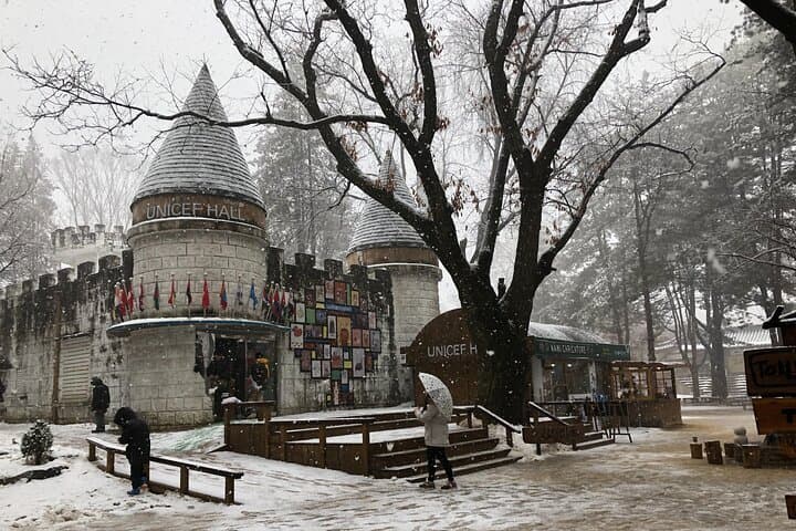 Winter Alpacas, Nami Island & Eobi Ice Valley Day Trip from Seoul photo 6
