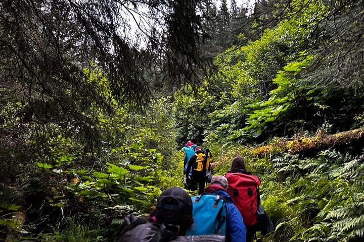 Moose Pass Kayak and Hike to Grant Lake — Half-Day Guided Tour from Seward photo 2