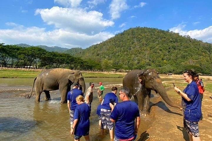 Chiang Mai Elephant Care and Bua Thong Sticky Waterfall Day Tour photo 3