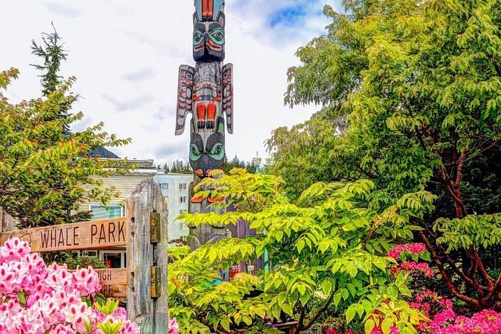Private Ketchikan Wildlife and Sightseeing Tour: Salmon Ladders, Bears & Totem Poles photo 3