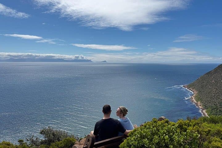 Private Custom Day Tour from Cape Town — Cape Peninsula, Penguins & Winelands photo 5