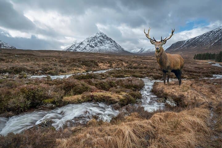 Luxury Private Highlands & Loch Ness Day Tour from Glasgow