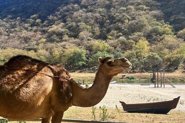 East Salalah in 5 Hours: Wadi Darbat, Taqah Fort & Coastal Viewpoints (Private Tour) photo 1