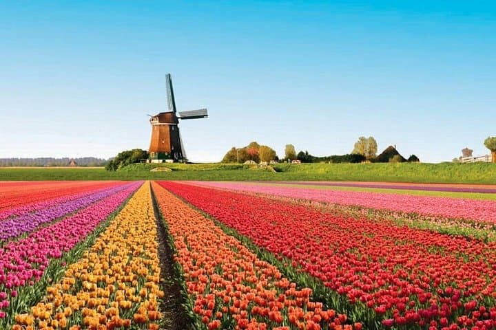 Private Keukenhof Flower Park Tour from Amsterdam — Luxury Transfer to Spring Tulip Fields photo 3