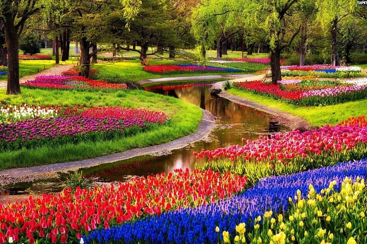 Private Keukenhof Flower Park Tour from Amsterdam — Luxury Transfer to Spring Tulip Fields photo 2