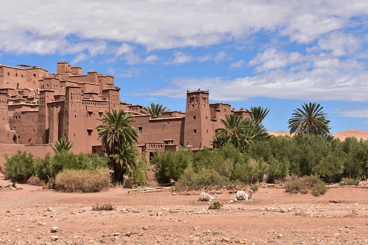 Two-Day Marrakech to Ait Benhaddou: Atlas Passes, Kasbah Evenings & Riad Stays photo 6