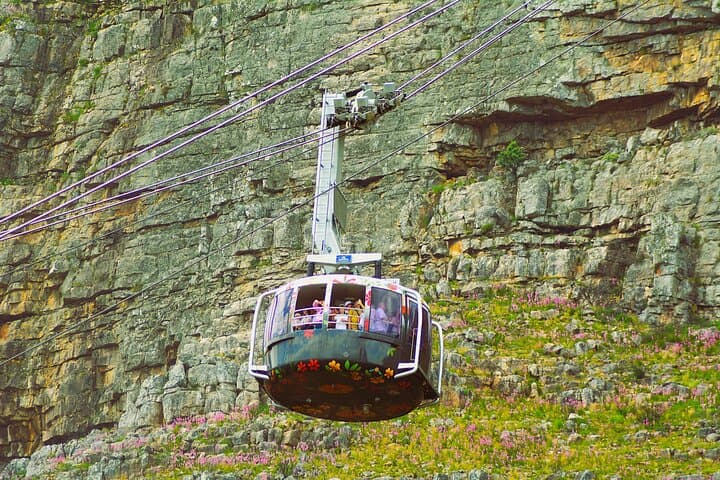 Table Mountain & Kirstenbosch: Cape Town’s Ultimate Nature Duo