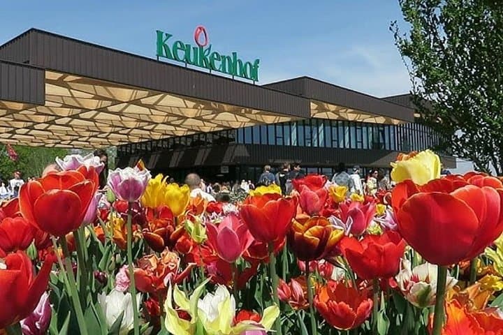 Private Keukenhof Flower Park Tour from Amsterdam — Luxury Transfer to Spring Tulip Fields photo 1