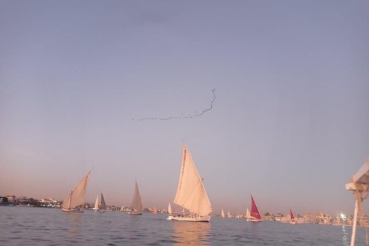Sunset Felucca Cruise on the Nile in Luxor — Private 2.5-Hour Sail photo 4