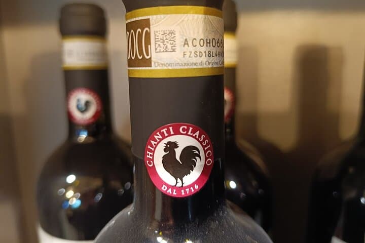 Chianti Classico Morning Wine Tour from Florence — 2 Wineries & Tuscan Lunch
