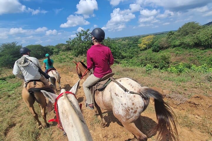 Horseback Ride Near Cartagena — Fundación Loros Eco-Ride Through Tropical Dry Forest photo 6